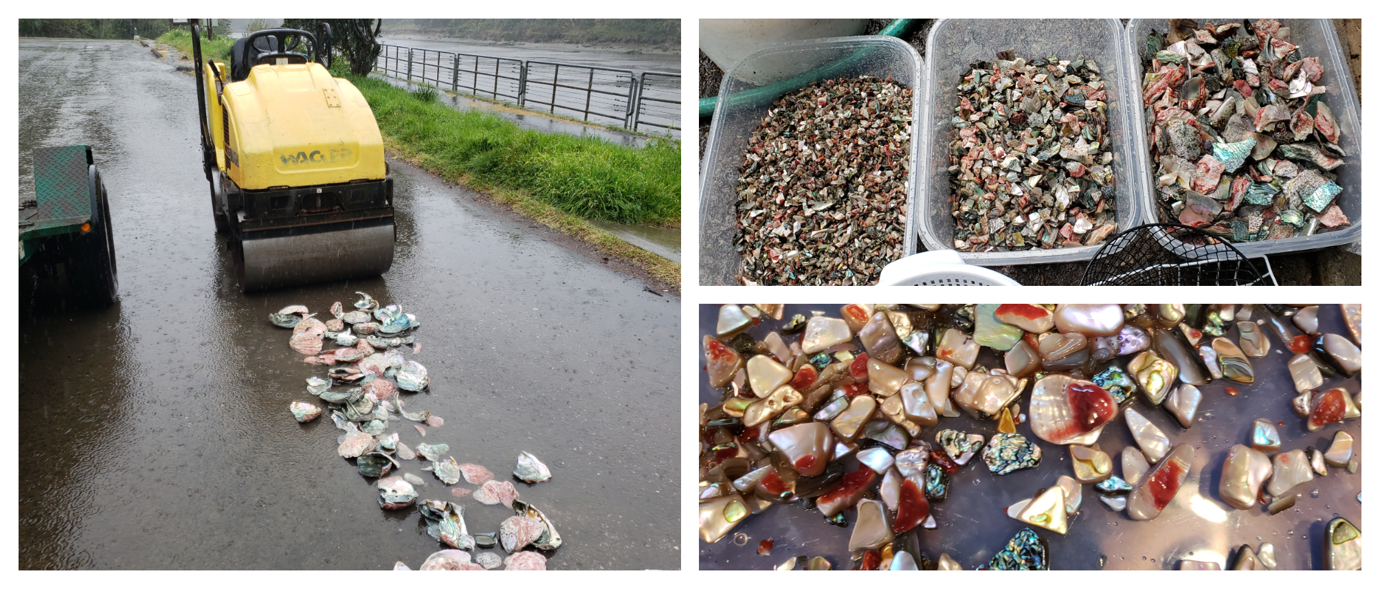 Collage of creating abalone art.