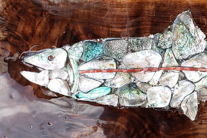 Abalone Fish